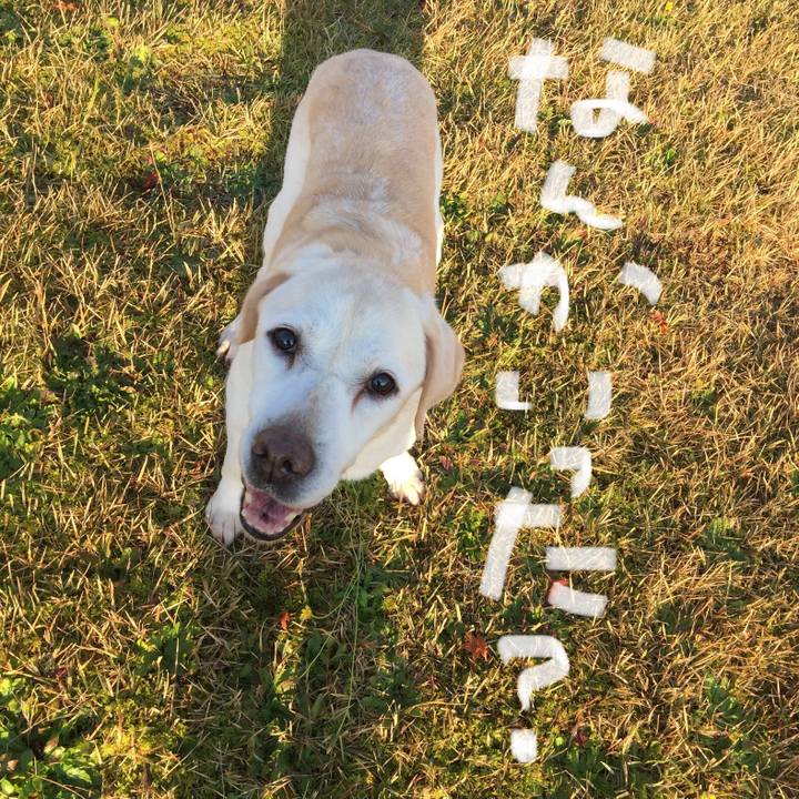 031d9674 b586 491d 957f 7462c456c4b1 1672140934586