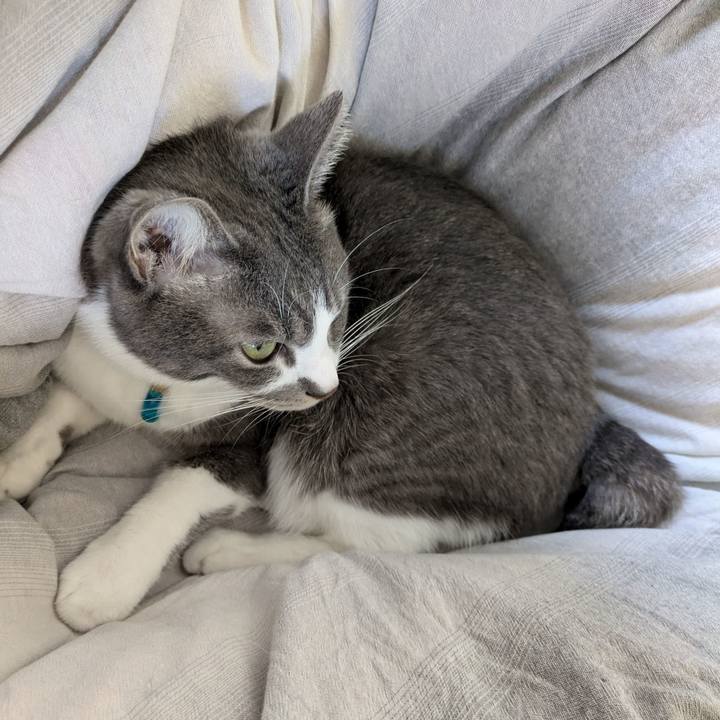 031da71a 7624 46e5 bde1 22c14d20b01a 1730338906352