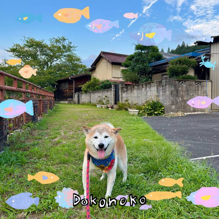 031db85d 1942 4120 95e2 cb81c0f924d2 1755081761742