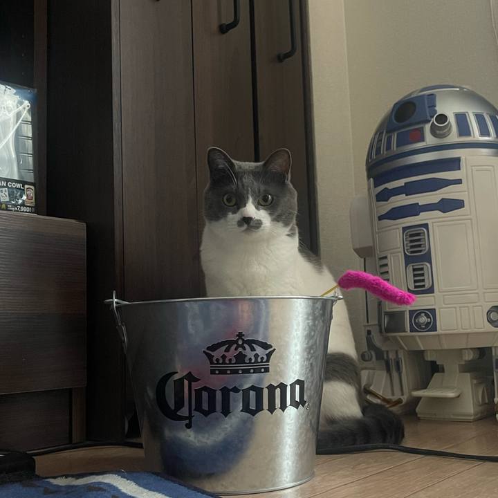 031dc2aa 5192 4ba9 bf2a ed64e737d1f3 1687078869602