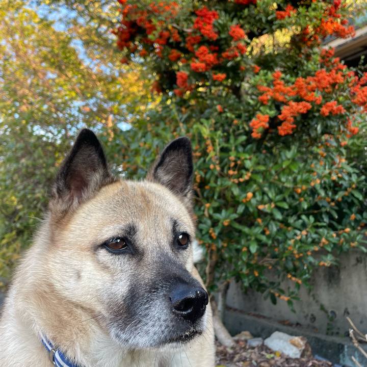 031dcc65 d729 48b3 abcc 9ecba2054546 1666355197269