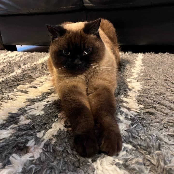 031df1fa e487 439b 9116 27921d64cc50 1708831842575