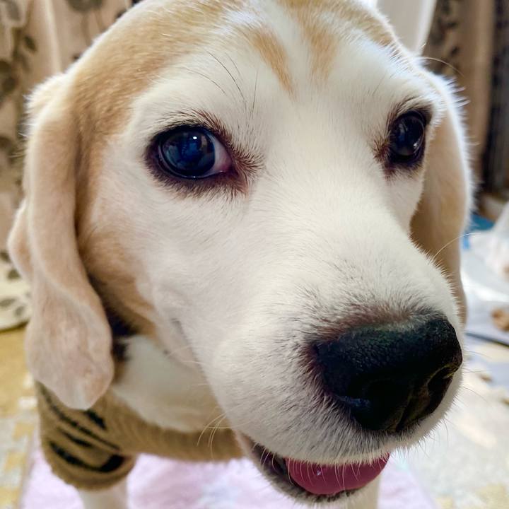 031df366 dfed 48bd 8d1d c4c45881fb1d 1612679275229