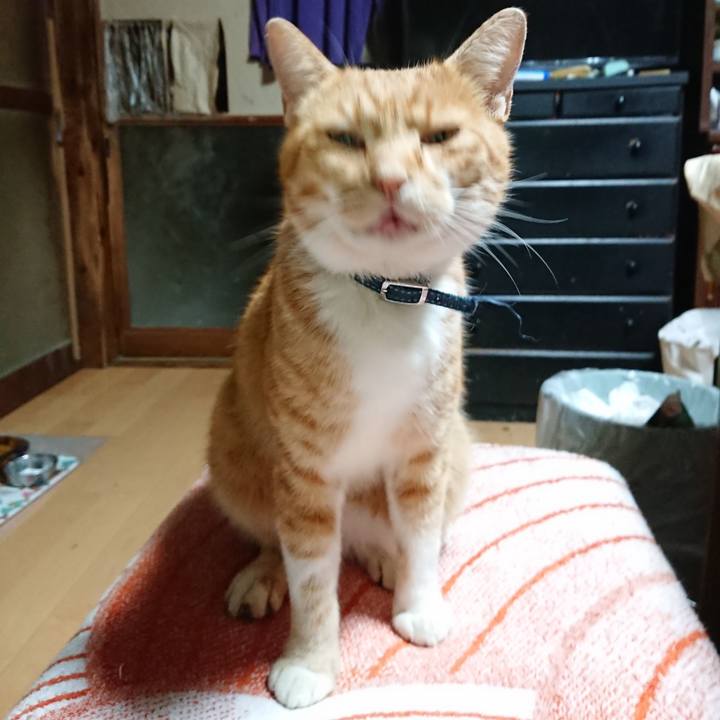 031e1d00 f353 404f 8828 6f76e87e5fa5 1603483988991