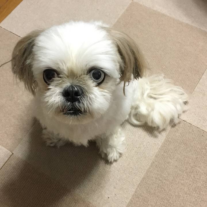 031e3373 2342 444b 9462 4e067cf04e8a 1599294264988