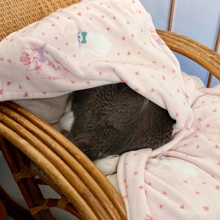 031ea744 d2b2 4341 afb0 604f5701ea2b 1766999870183