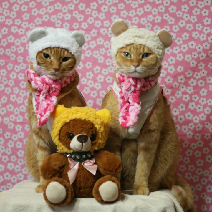 031ebd4f d0e1 40f3 a94c 86366e23b3ce 1516024874952