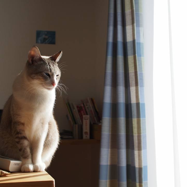 031ed4dc 1fee 46f4 a55b 70c805701de4 1549681636452