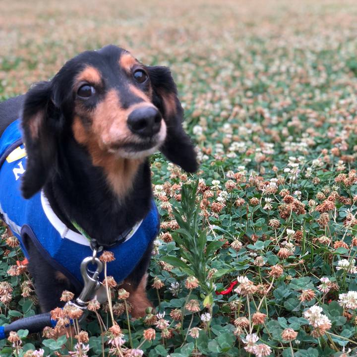 031edb92 3837 47ce b9d9 1a37b9403e5d 1532384015975