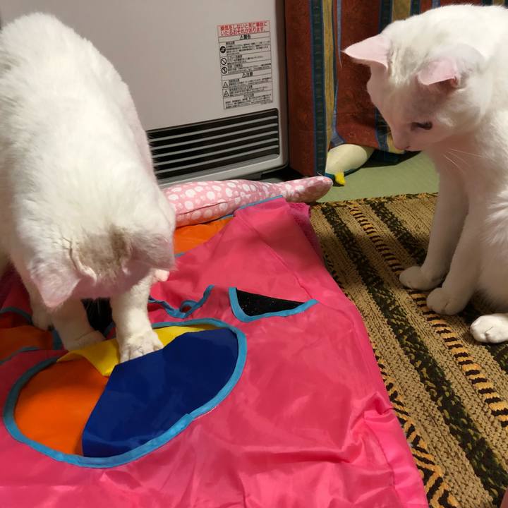 031edf90 2186 4b67 96d5 607625a85099 1524022953929