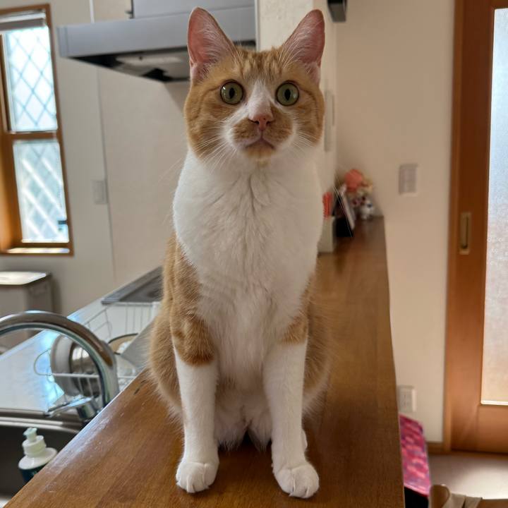 031f0334 ef1b 4571 847c d9d61de8f893 1756514928449