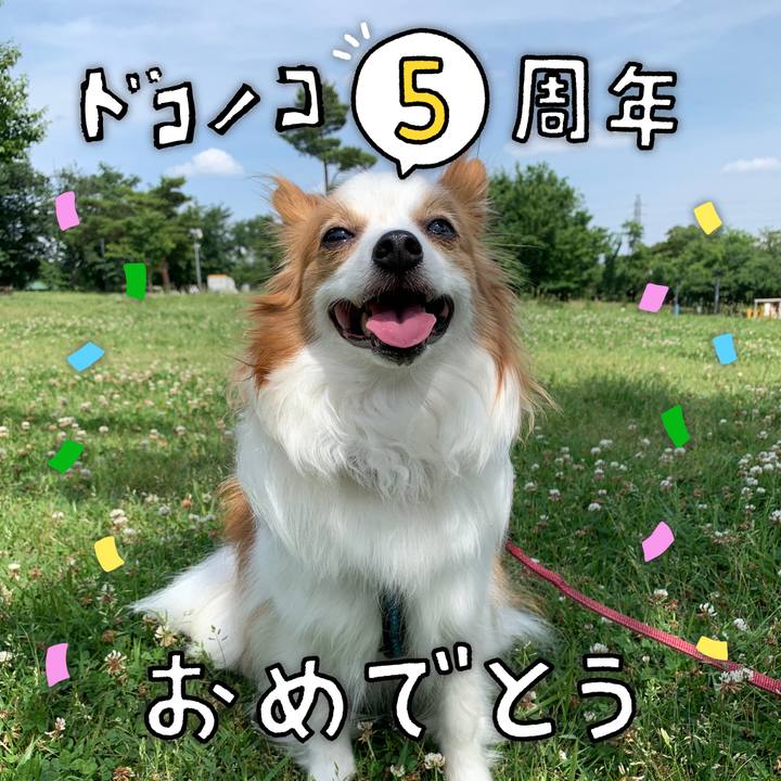 031f091f 1f0e 4627 9224 f878b289f946 1622860412910