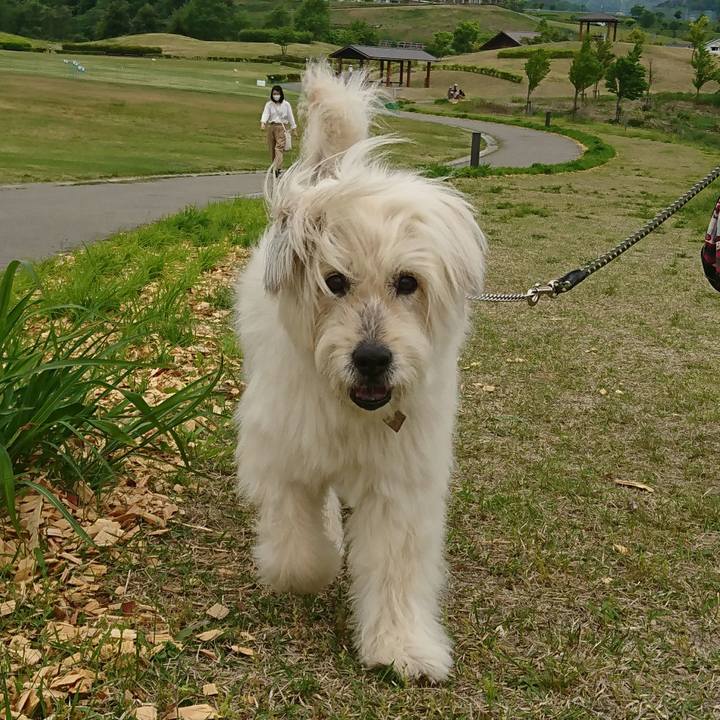 031f146f 1bc6 40d8 a5cf 12152a1481cd 1589620775123