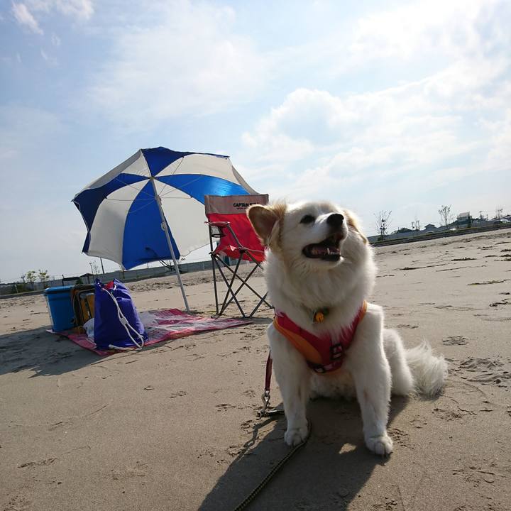 031f2016 3a19 41ac ada1 ebe7a79a069f 1531809367963