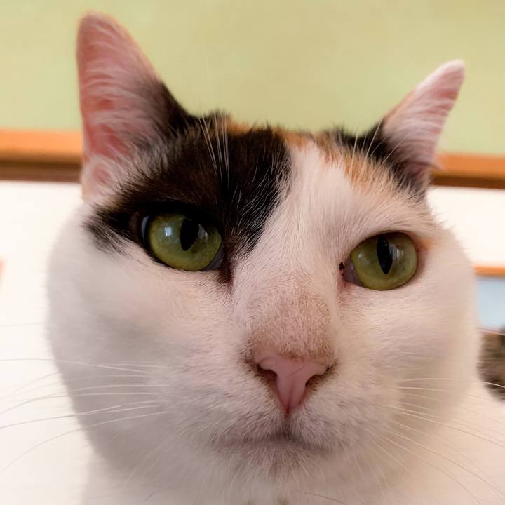 031f43c9 c2d2 48c2 b144 a862cea0244a 1564446311146