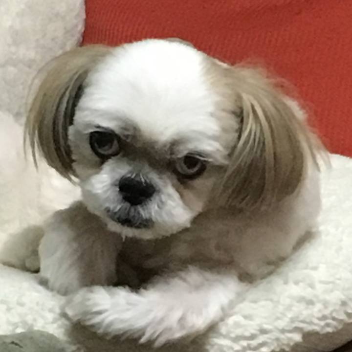 031f5843 e89f 49fa a09c 742608336804 1538654426080