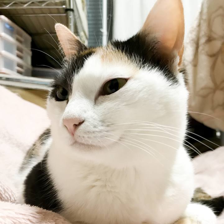 031ff2b0 31b5 45e9 a61e 361520268bb0 1527865581138