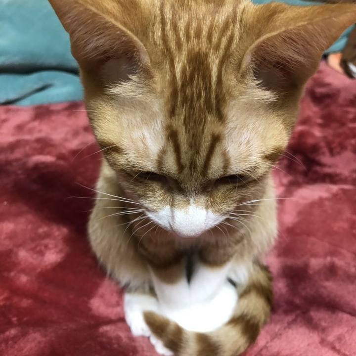 03201046 dd96 4d0c a300 9ddccc7e2b64 1545308505415