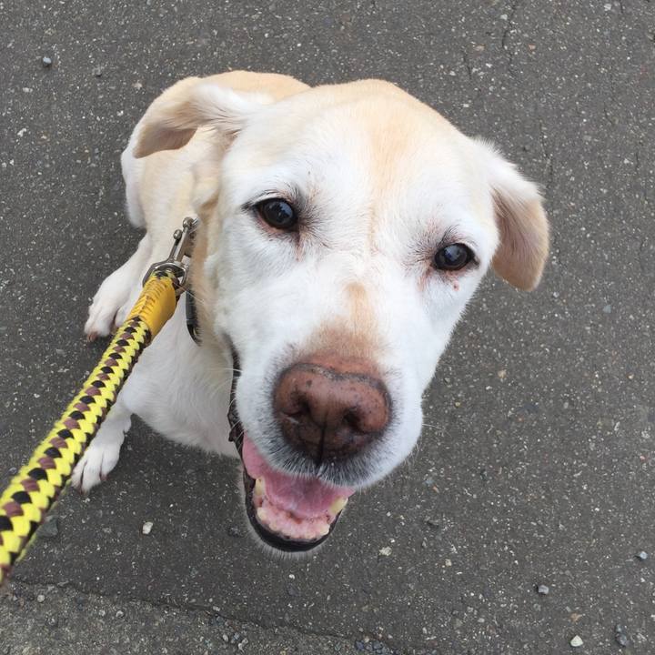 03201a4a 5e08 409e 9f89 501149561d97 1564748362541