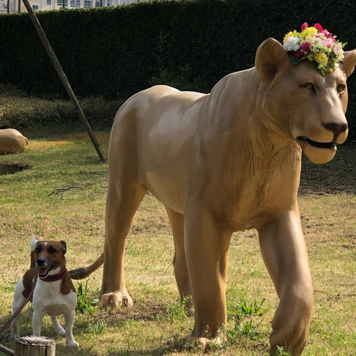 03201ba8 963e 47fa 9c57 78be6700c625 1522623053966