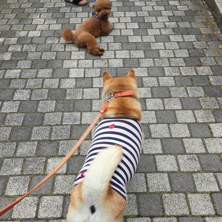 03205816 be11 4083 a623 e419f04f1f50 1559347827945