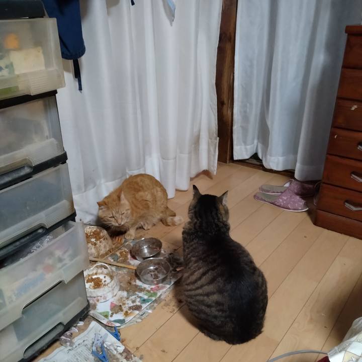 032062a2 8577 4df1 8297 0fa82f0acf74 1717021781141