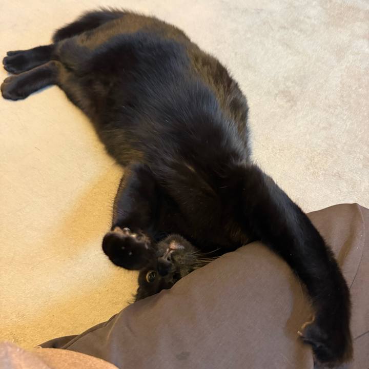 0320b185 d50d 4872 912c 56bcfdb1c474 1772060417328