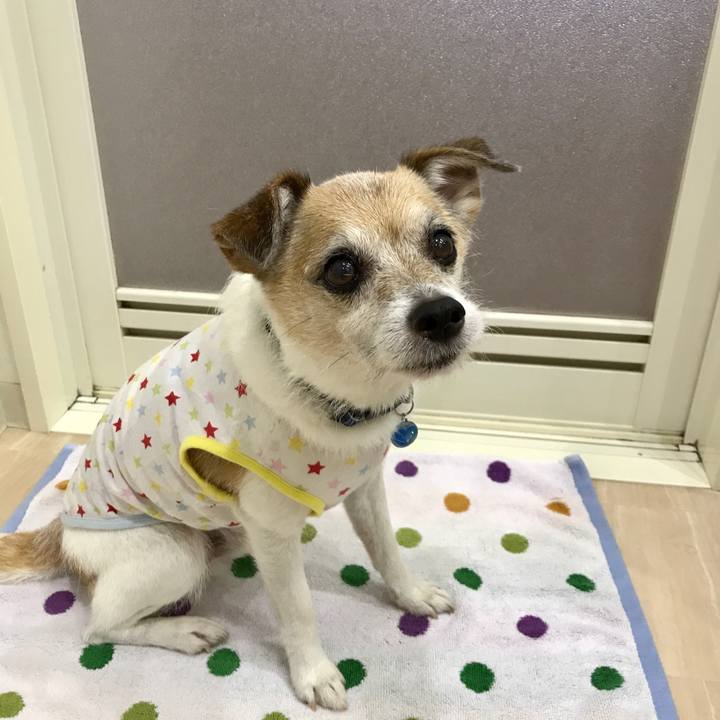 0320c940 f112 460d 8c11 07c1d54e5f55 1659307522712