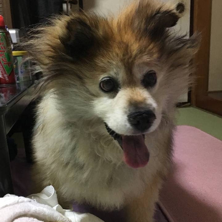 0320cb72 7a1b 4959 8396 4b39849c05b0 1562731401143