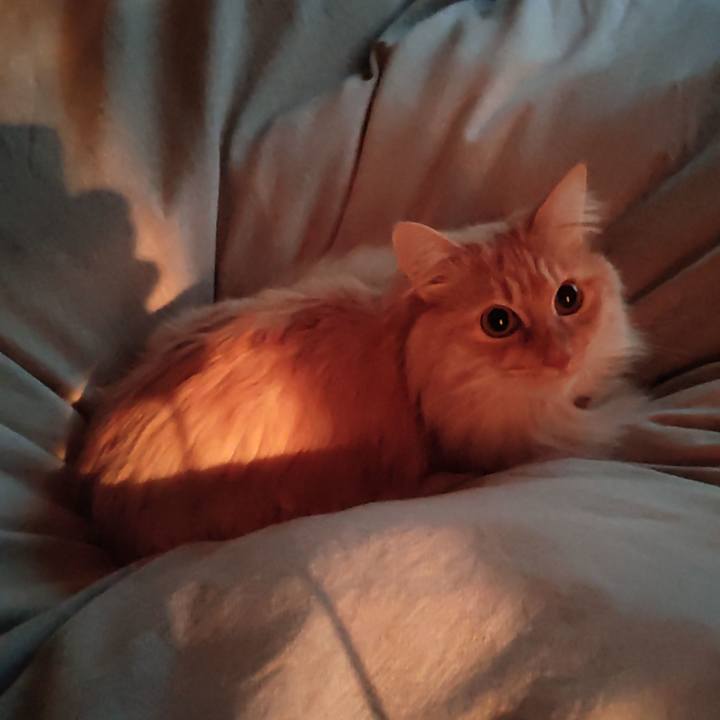 0320d5fe f9b7 46ee 8a4d 752932563037 1675374807017