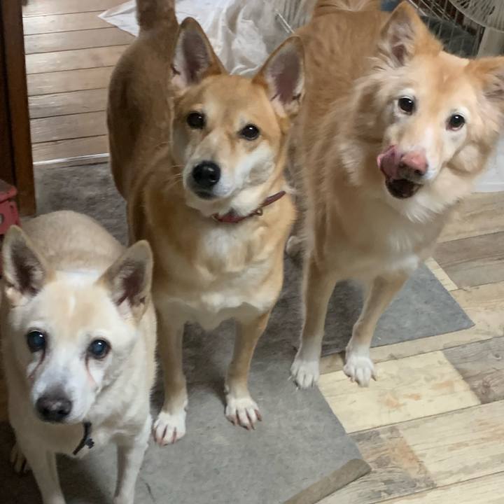 0320f6cb 9ad5 409f ad55 aa2c98b0fbda 1732540259970