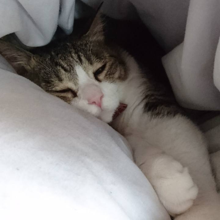 03212297 e9a4 4eff be42 c24fd91374f1 1529105528227