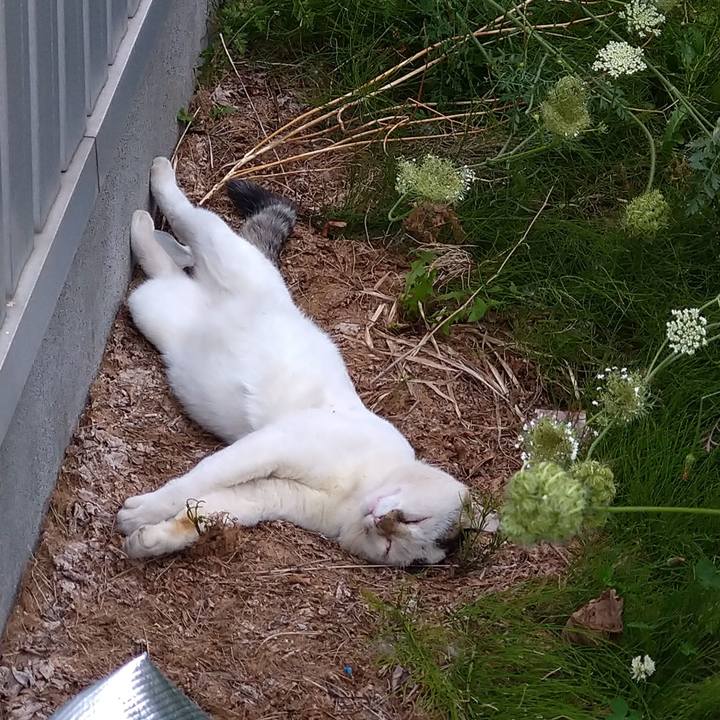 03213681 95bb 4a4e a5ce cffb8f4dcf2d 1599201477502