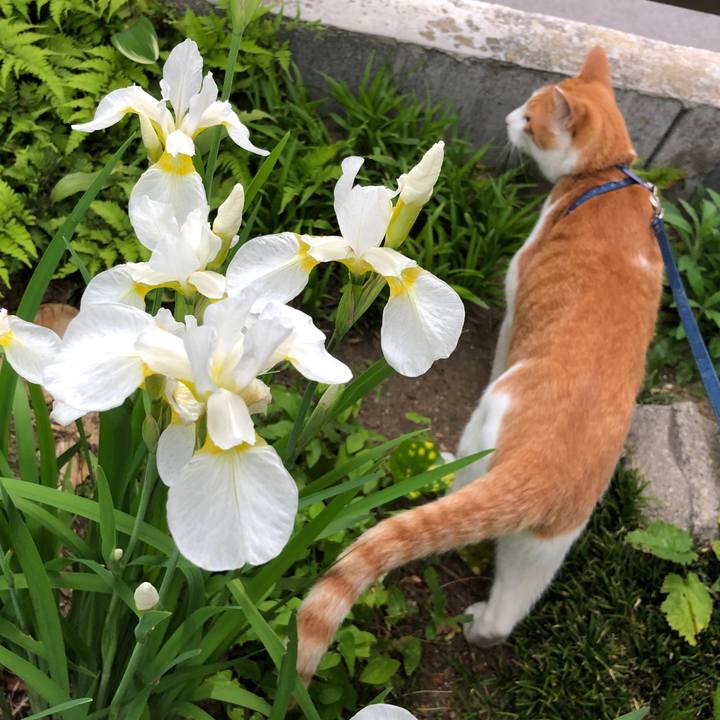 03216cba 76f9 43fa bc34 7df8bb6fa2b3 1559047782058