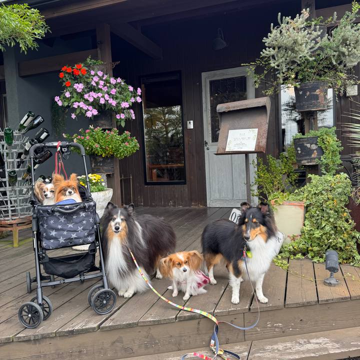 0321e052 d539 4a41 89b4 31240390b9ac 1762373008251