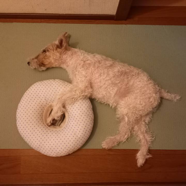 03221ede 352b 4340 952d 6e1075aa0211 1628927954088