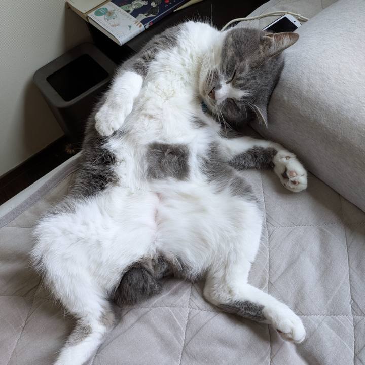 03223908 0cb0 4c17 9bfc eac336b734bf 1749261674479