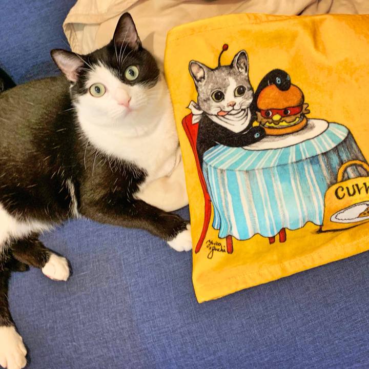 03227a37 3a8f 4e9e 930c a69535bad1c9 1566141948970