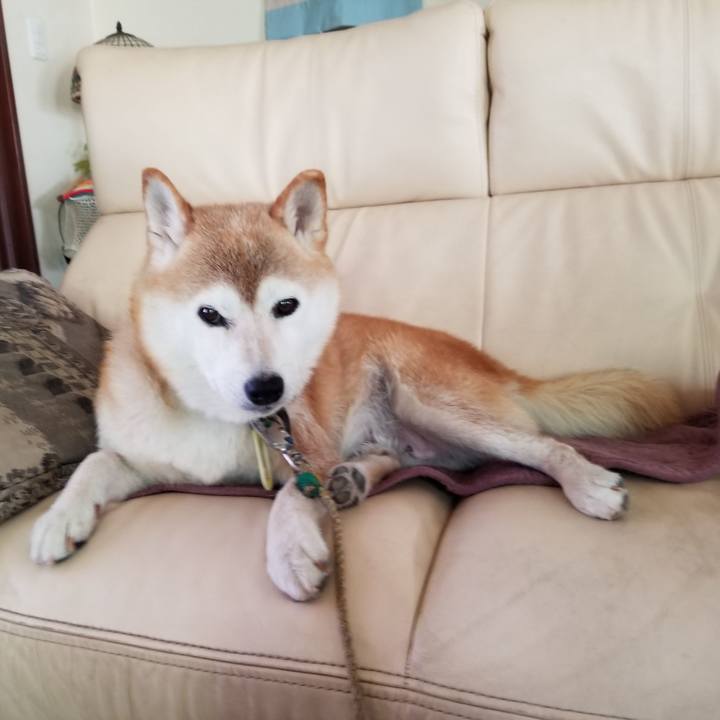 0322d248 64b9 47a3 9d76 7eb57176849f 1659846108601