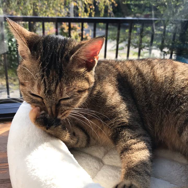 0322f69e 9b9d 402a 9a07 052ccc6c6f8b 1572740507376