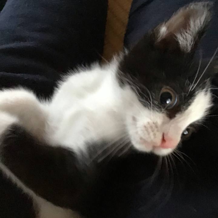 0322f6e1 b88f 423b 9295 2a981213e60e 1624514802850