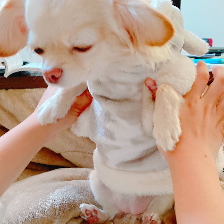 032301a8 a769 40c1 9130 21a9a85b4aeb 1640658657301