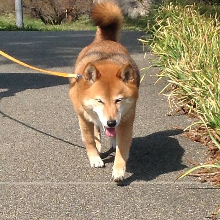 03231713 3e72 45dc 9ada 845d07eda752 1522500564454