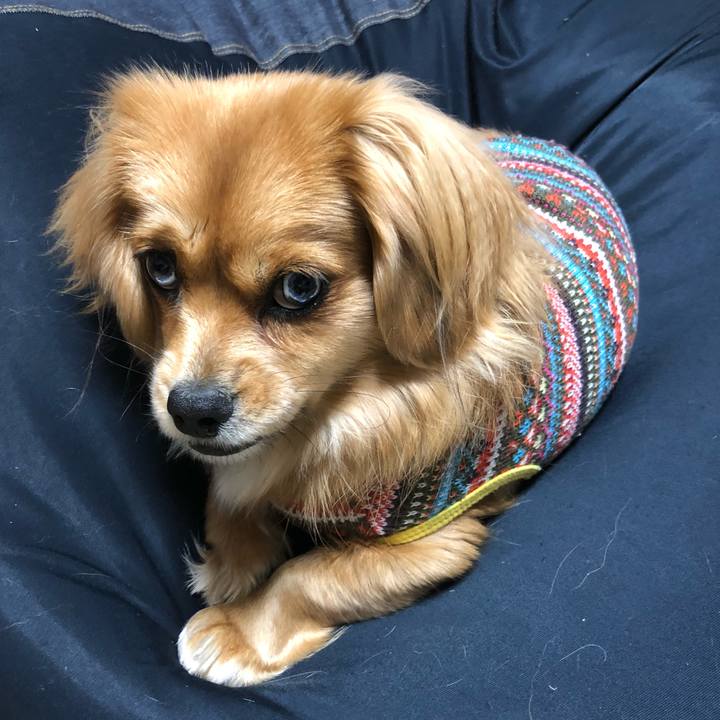 03231e25 f94b 470e 99b5 ebb0fc6913e4 1516572946634