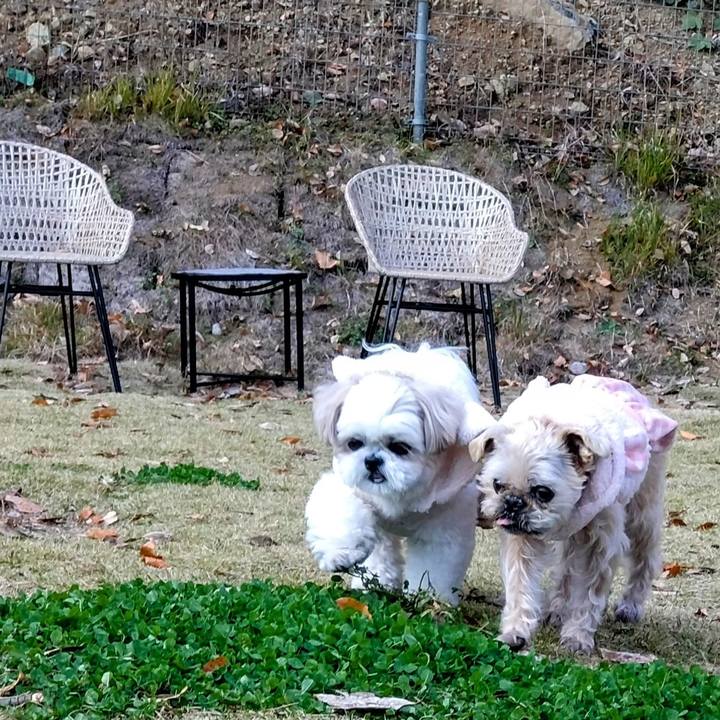 03232663 8a4e 4d29 a2a4 d2b20d8f9353 1732604656506