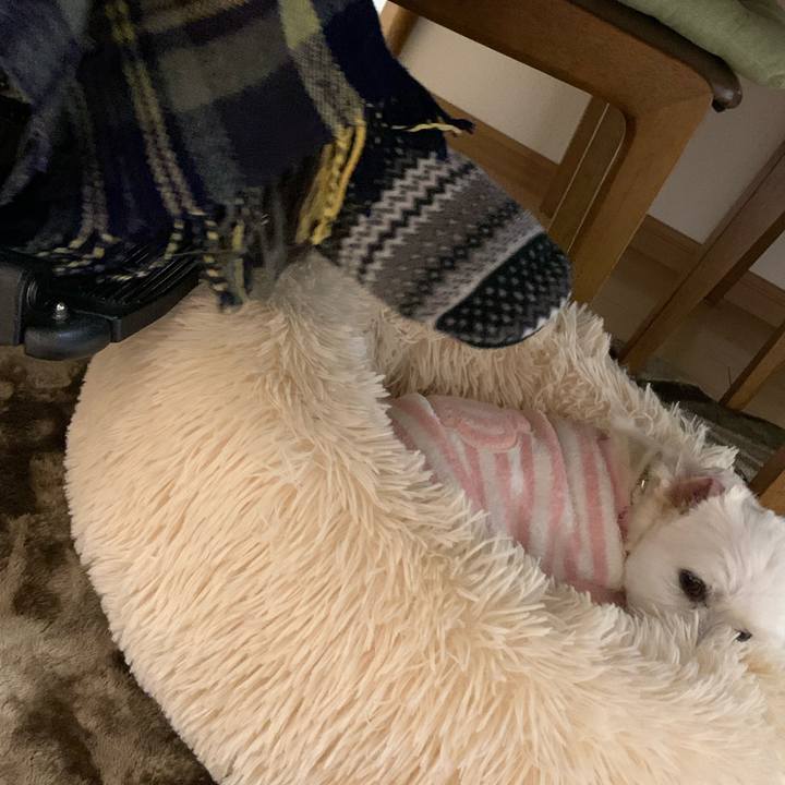 03236fa8 ae5d 42a6 ac21 070947767236 1642499681241