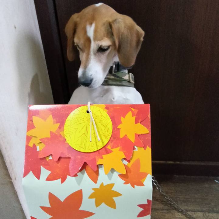 0324024e 147a 45dc a880 11fd67e61d4d 1732790122753