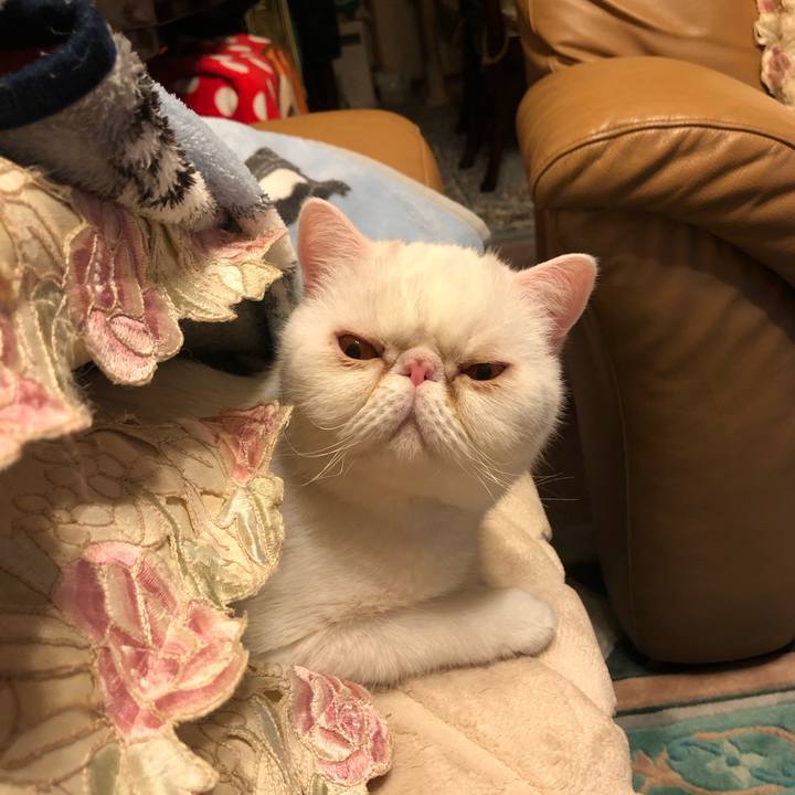 032406d5 43f5 4a4c b558 772f8589600e 1676034345211