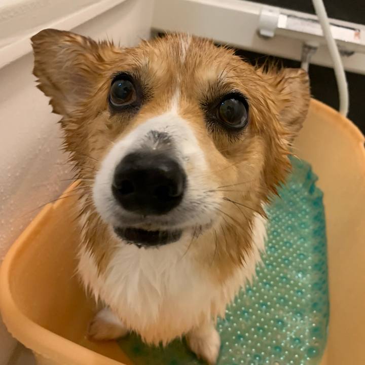 0324182c f7a0 4c81 b2a3 8fdab788038b 1658835788054