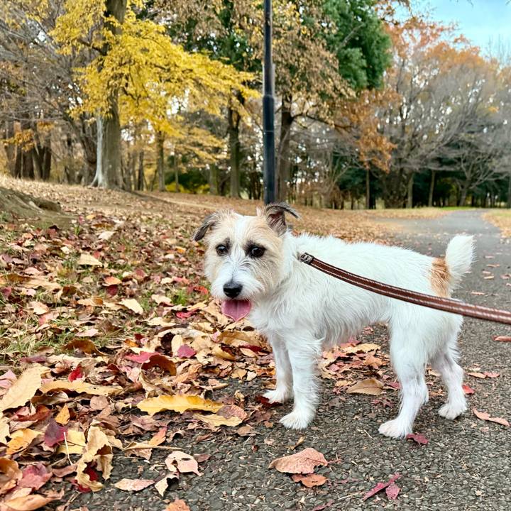 03242fd5 e57d 474d 92cf 56f0ba6ffbd4 1764428321567